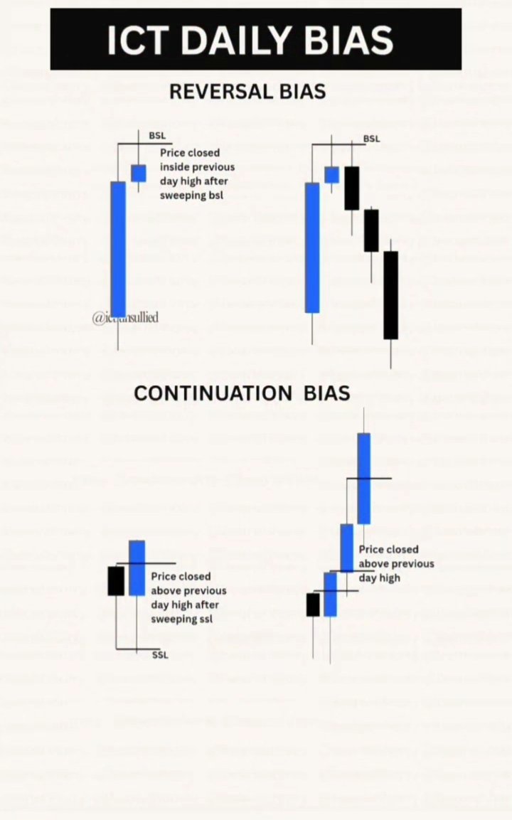 PIP Verse🎇🎇 tweet media