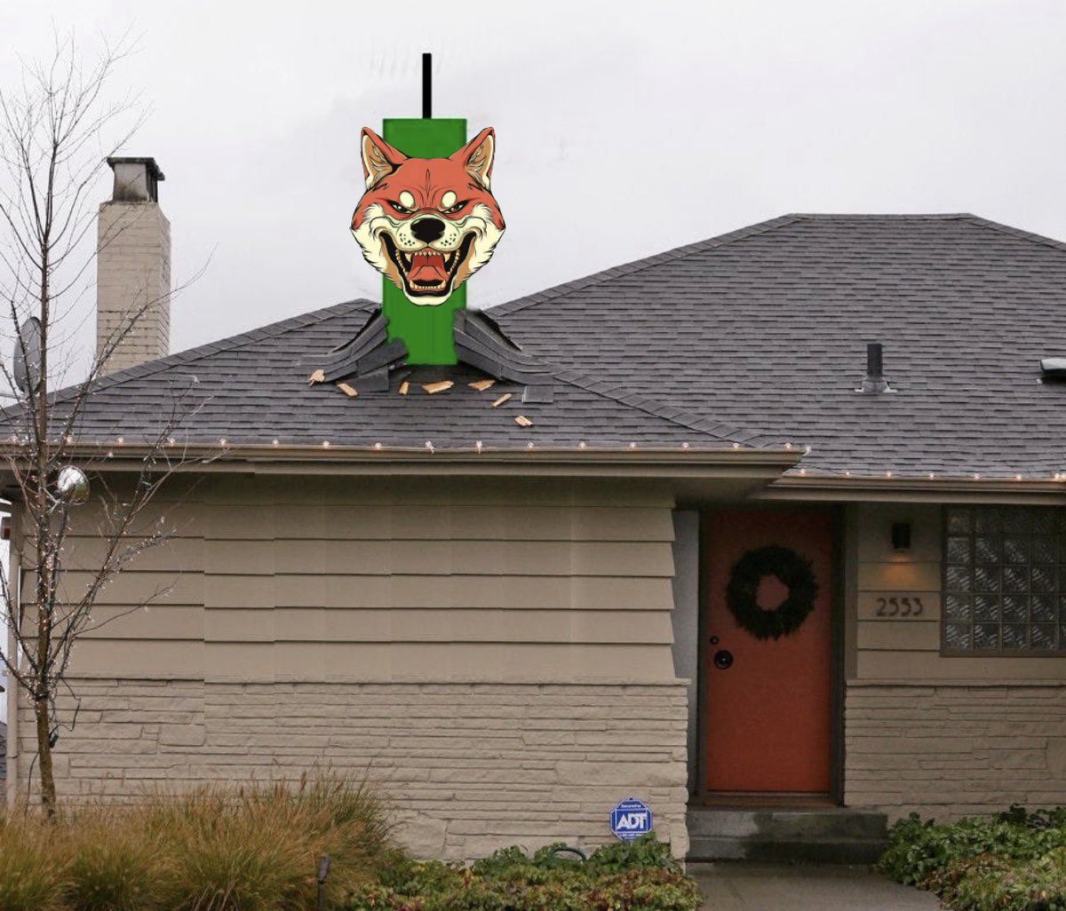 -Tøm- 🦊🪖 tweet media