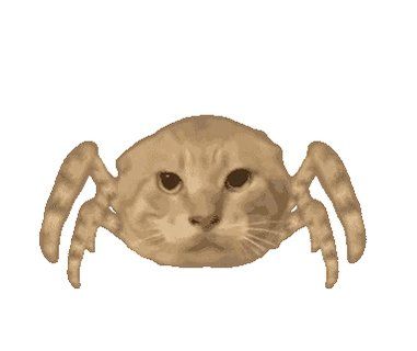 سمكة السلمون العنيدة tweet media