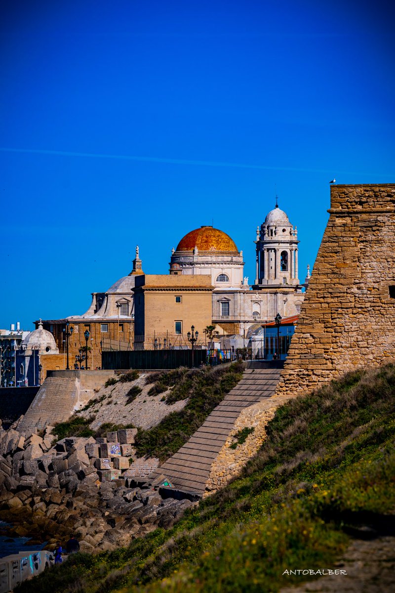 antobalberphotographer tweet media