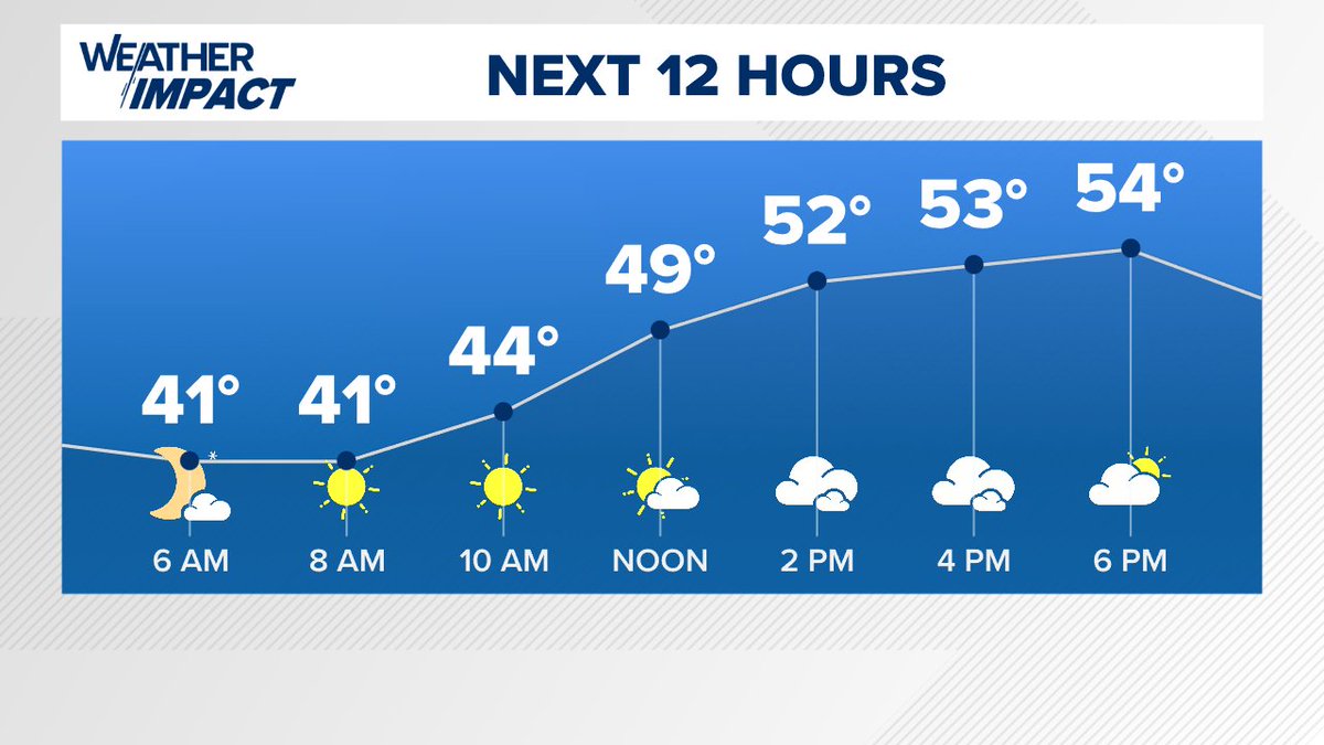 Andrea Michaels tweet media