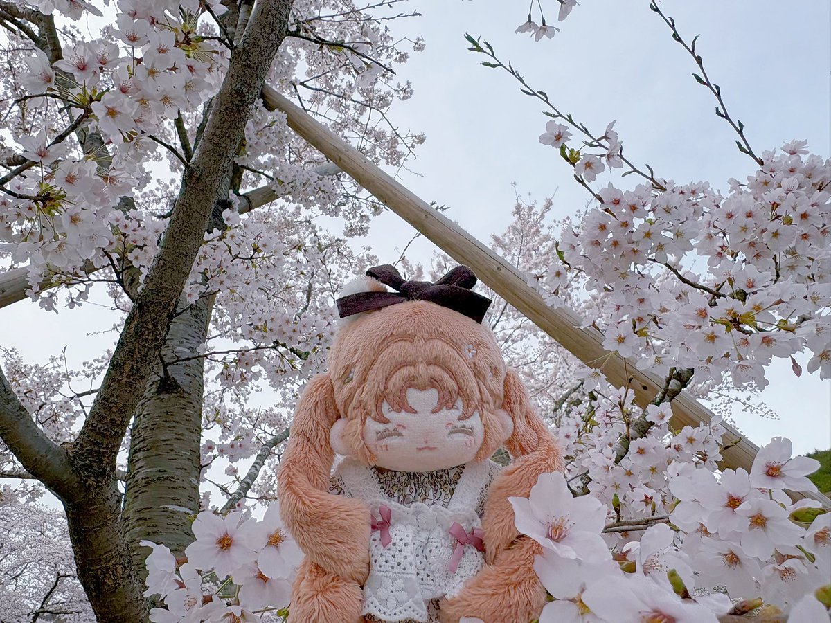 つゆり tweet media