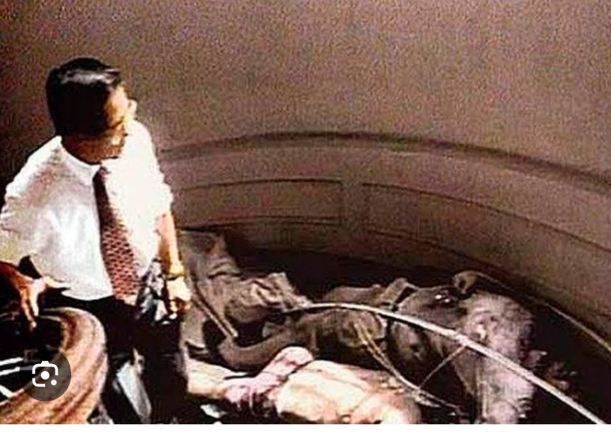 Samuel Cáceres tweet media