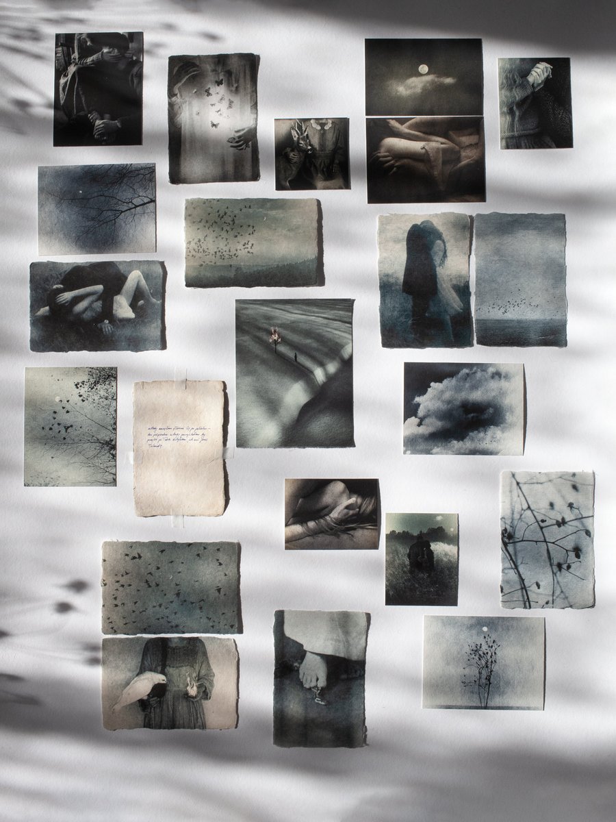 Laura Makabresku tweet media