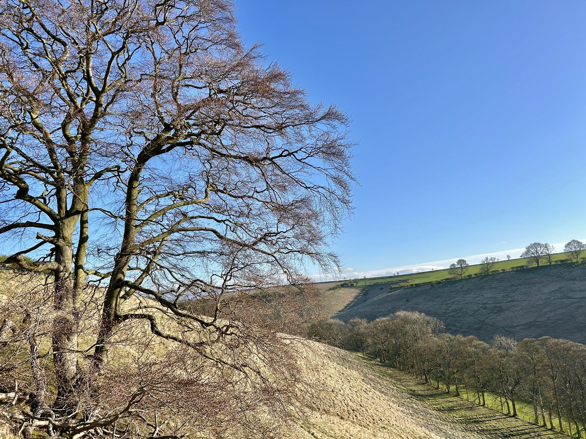 A Gentle Morning. 9°C and a light Southerly breeze. Magpies.