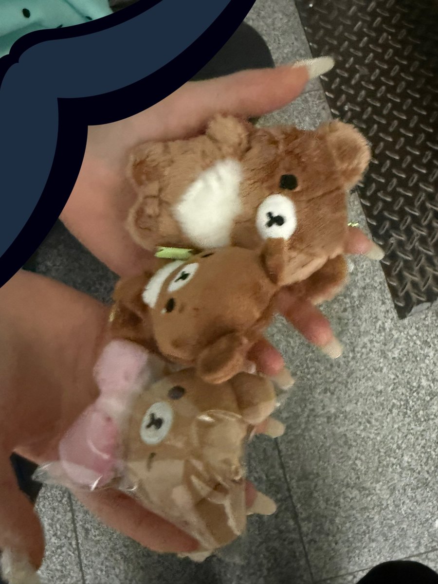 귀요운거 한가득 삿어요 충동구매함!!