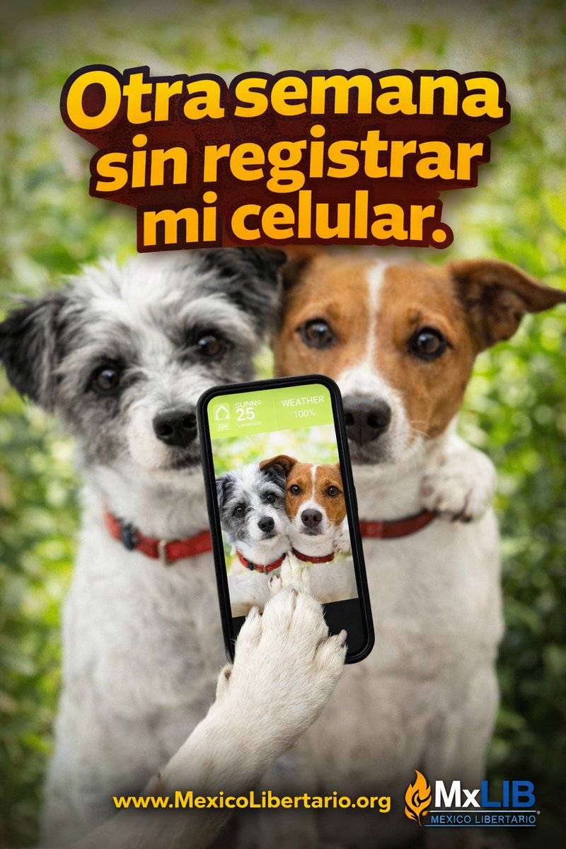 México Libertario 🐍 tweet media