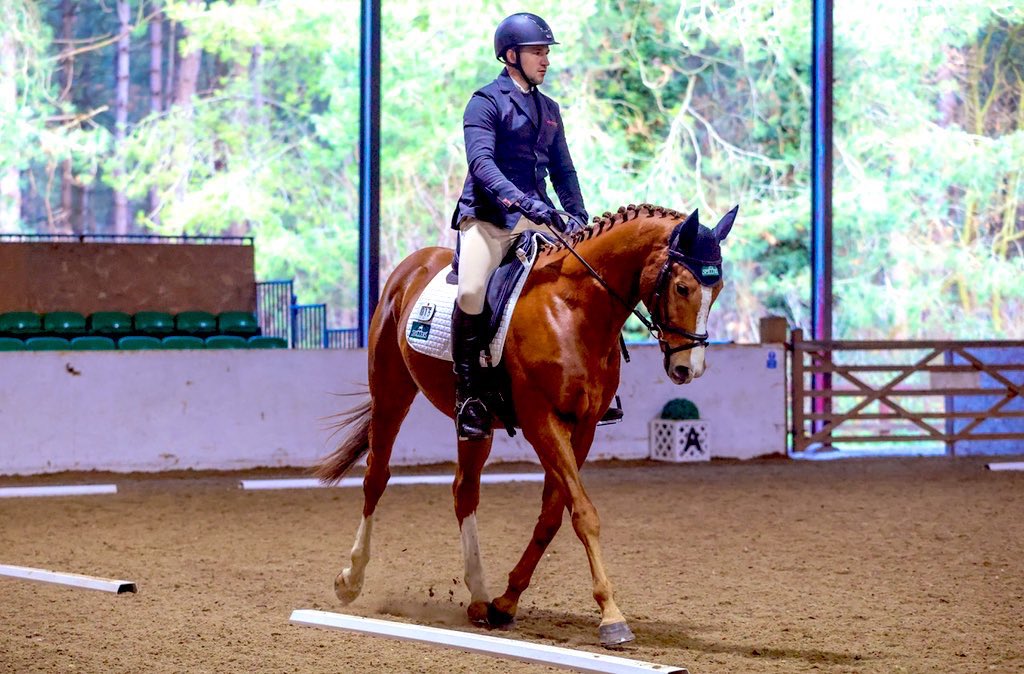 Pamela Perl tweet media