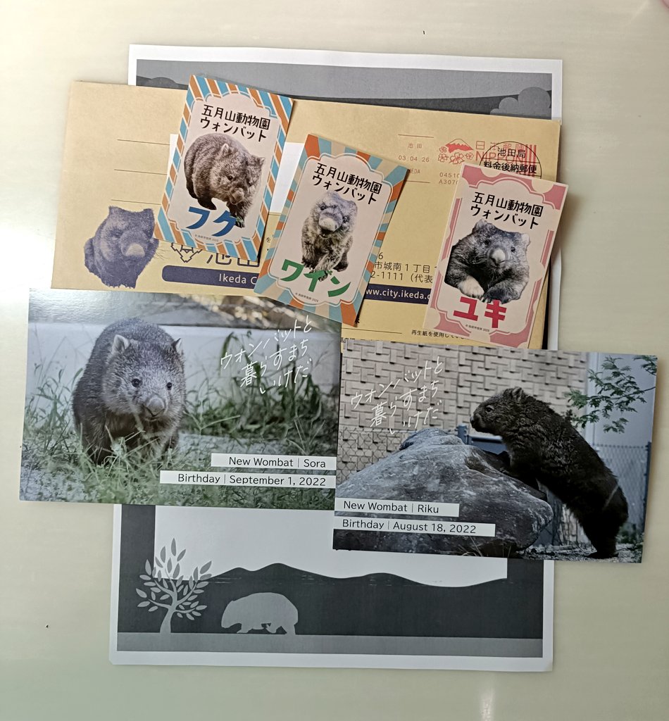 たぬき tweet media