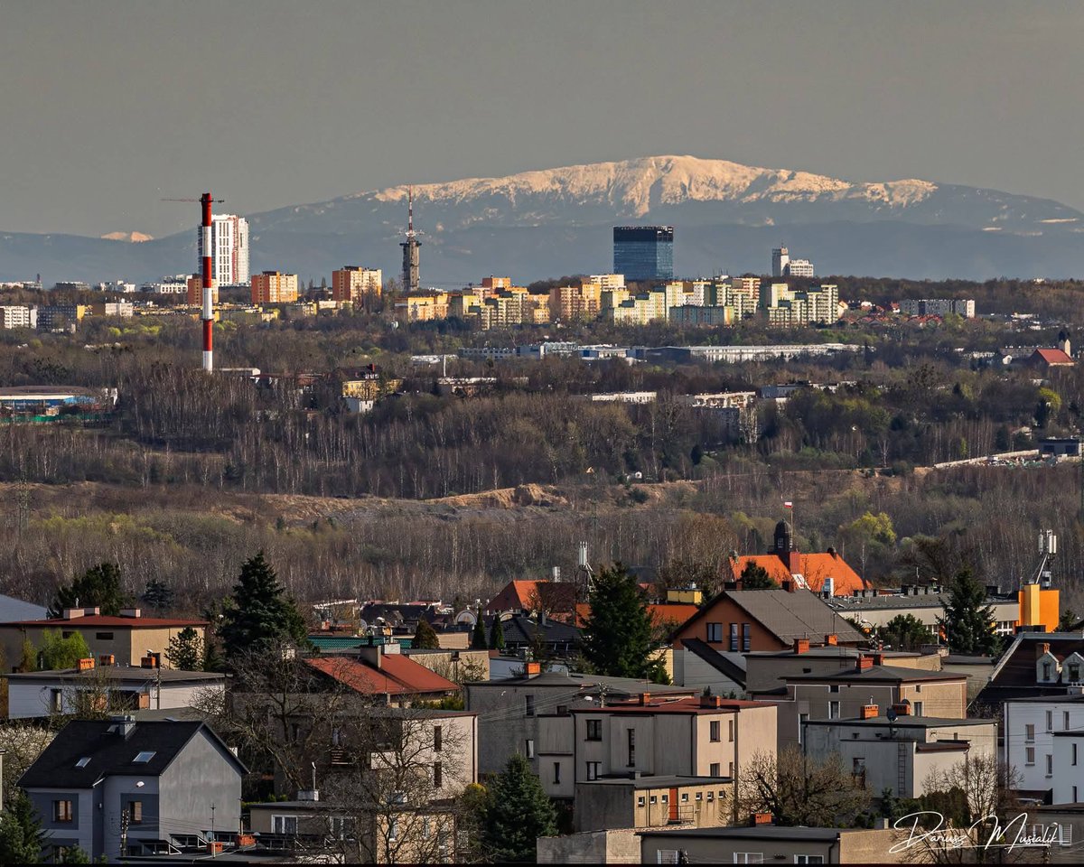 Miasto Katowice tweet media