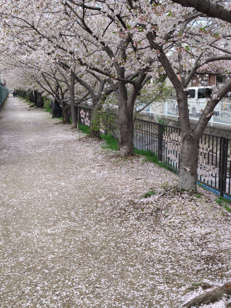 よっしん@W650🔰 tweet media