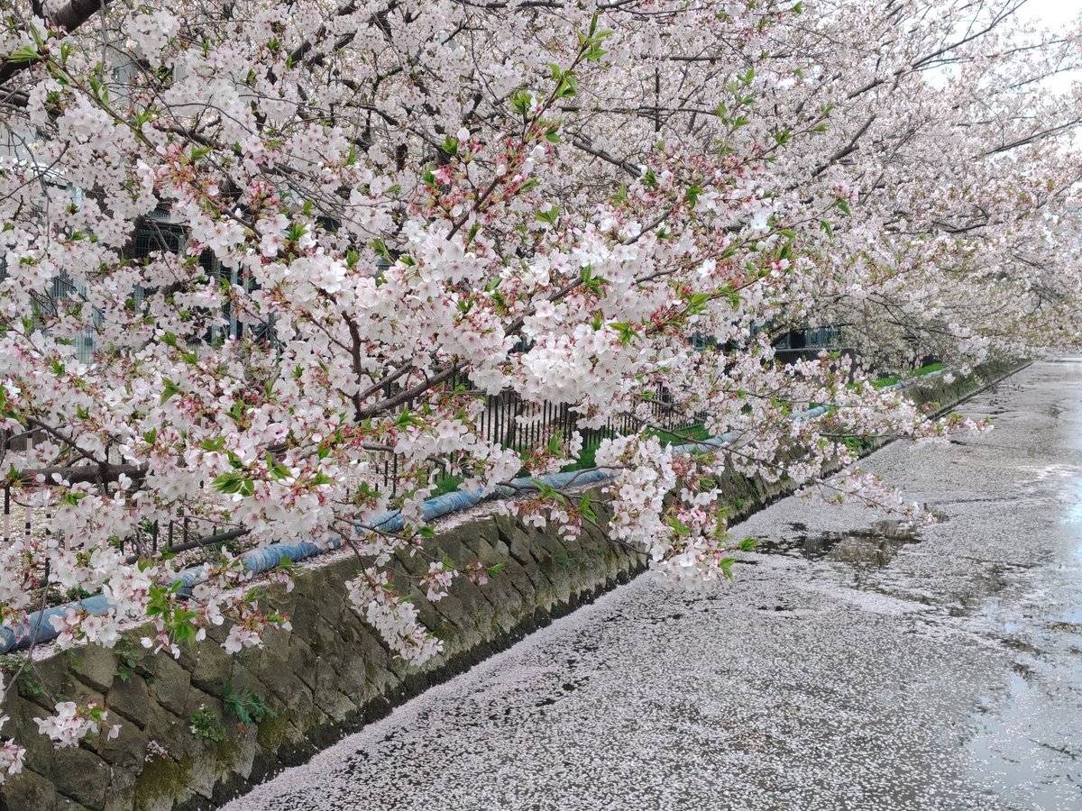 よっしん@W650🔰 tweet media