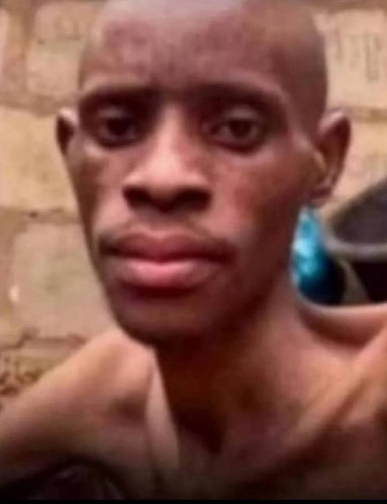 cryptier II tweet media