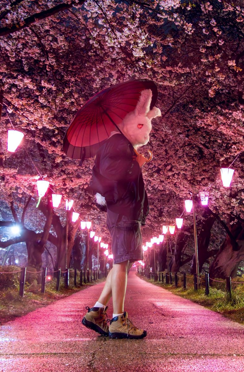 🐇🌓ムカクク⏱🗝 tweet media