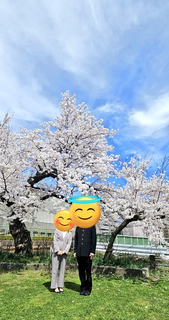 R183(R.Iwasa) tweet media