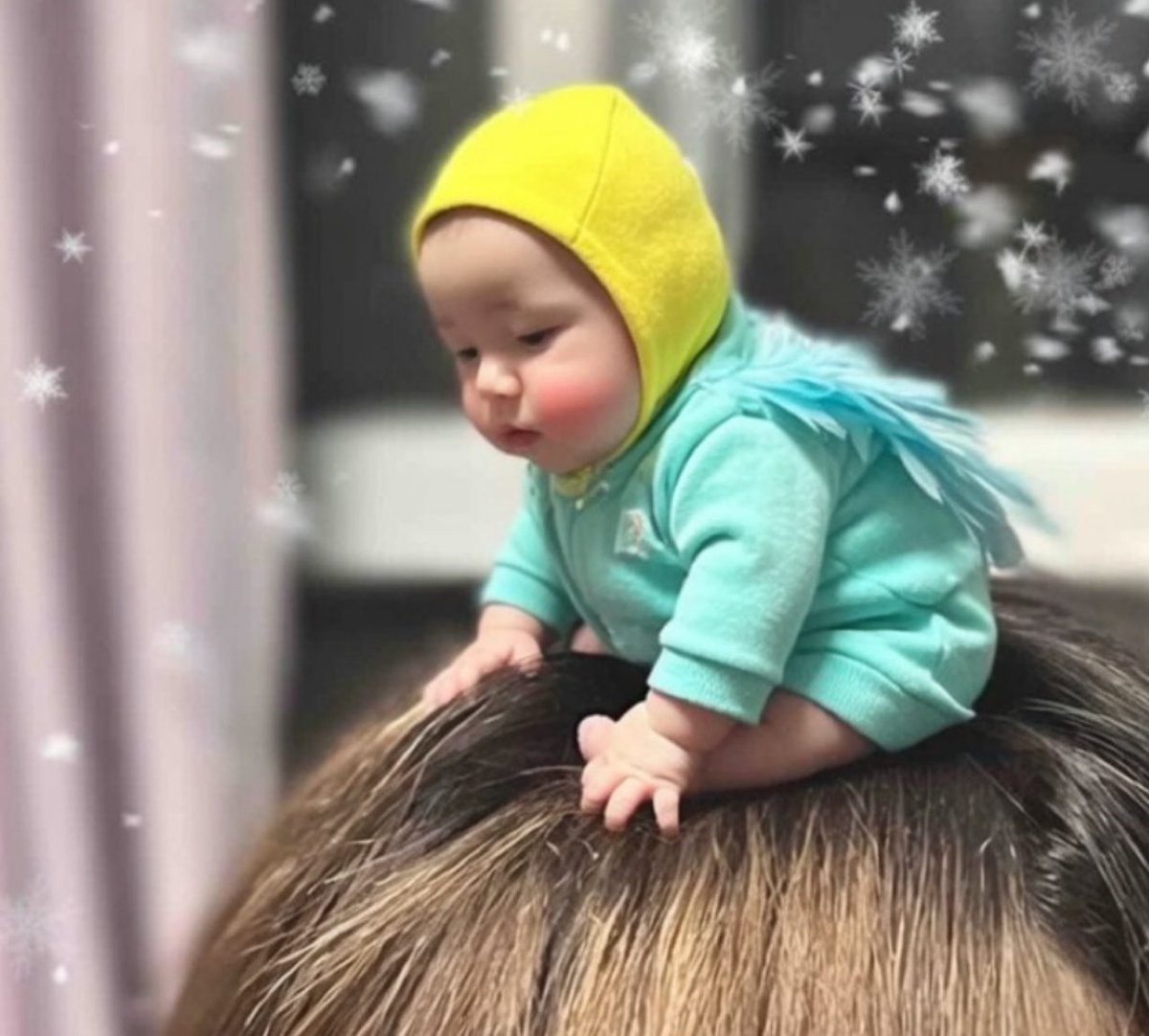 ☩とりかご☩ tweet media