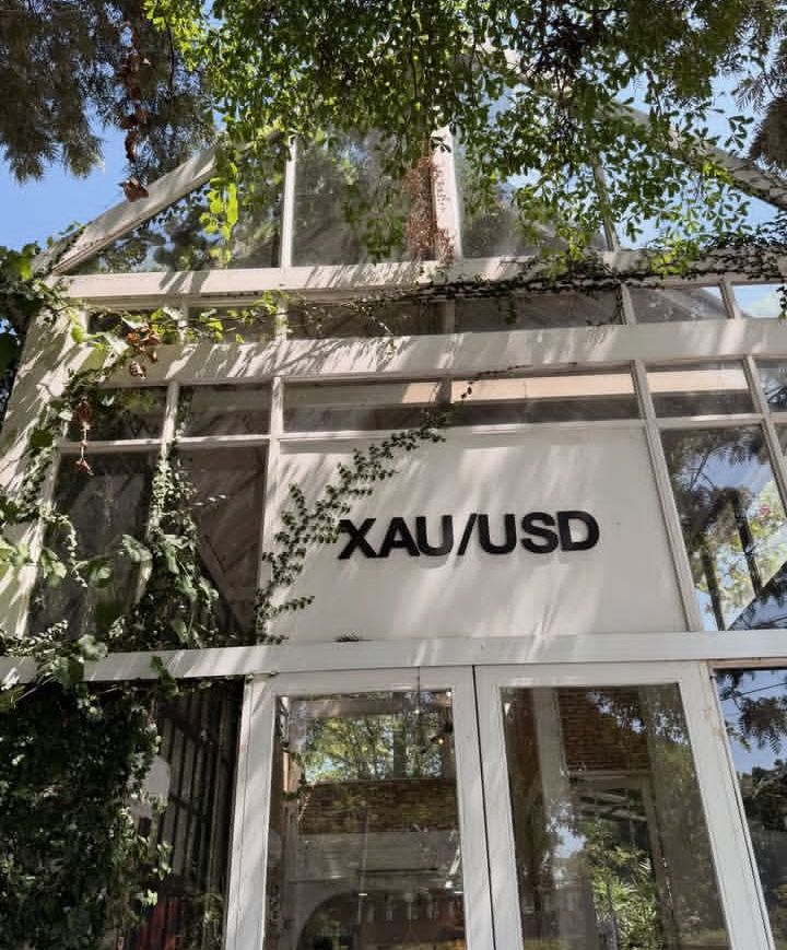 𝗘𝗡𝗡𝗬 tweet media