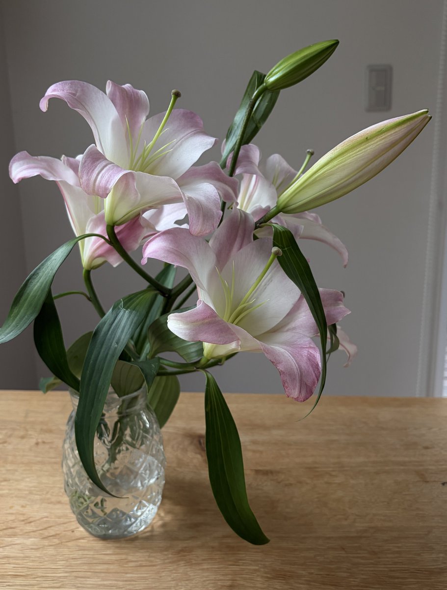 百合の花ってカッコよすぎる