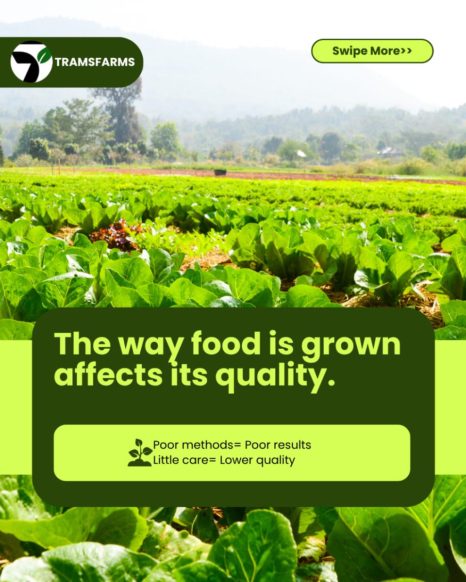 tramsfarms1's tweet photo. What you eat matters and how it is grown matters even MORE.

At Tramsfarms, we don’t just grow food. We grow it with care, intention, and better methods.
Because you deserve quality in every bite. https://t.co/S5XrUxK7sx