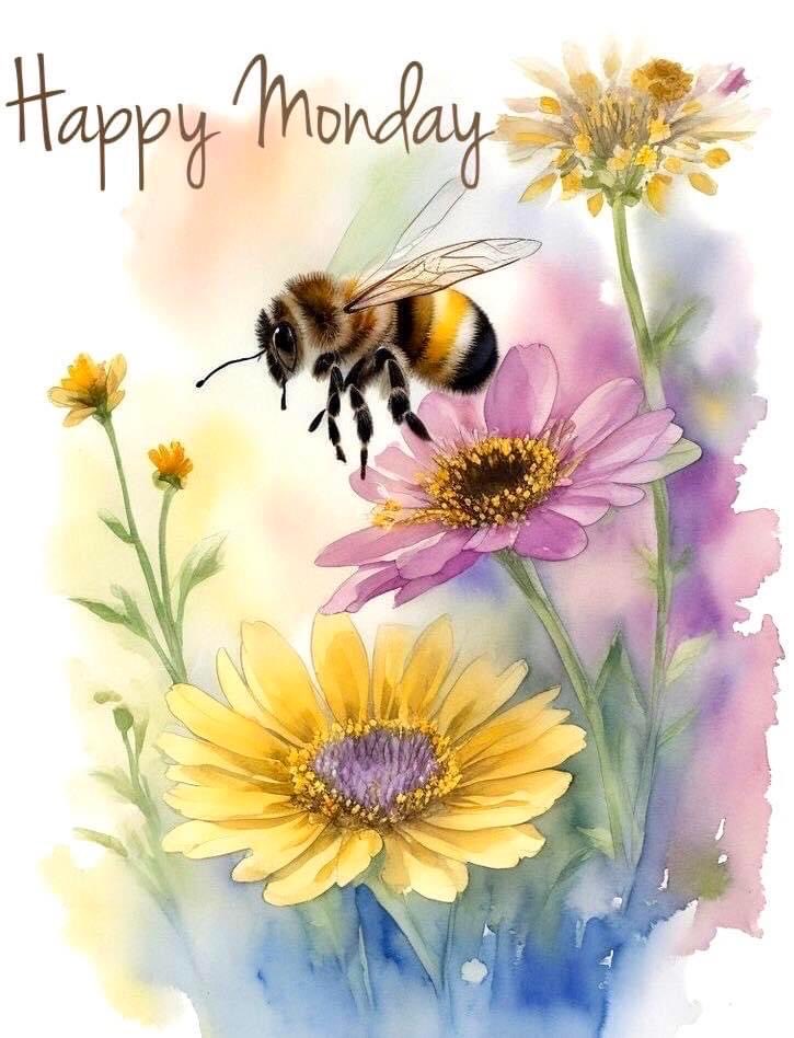 🇺🇸Judy H🇺🇸 tweet media