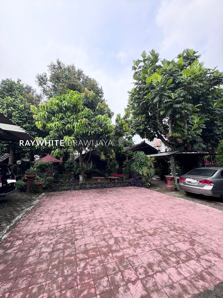 Maina ❤ tweet media