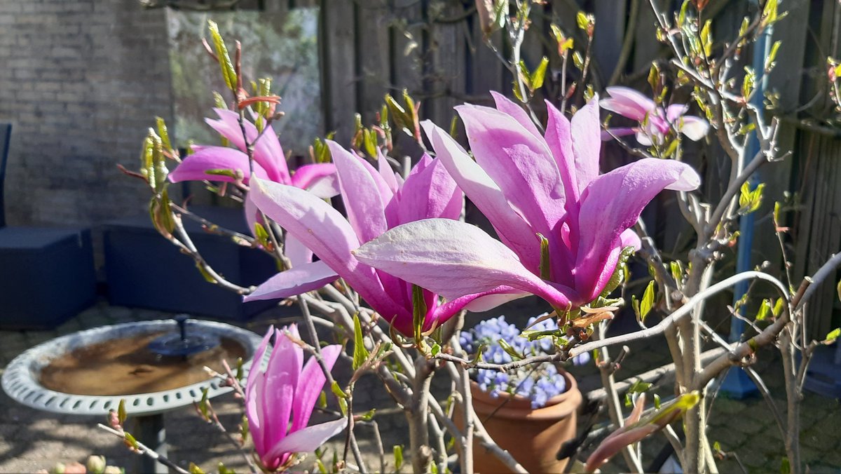 Geniet van jullie Paasdagen!