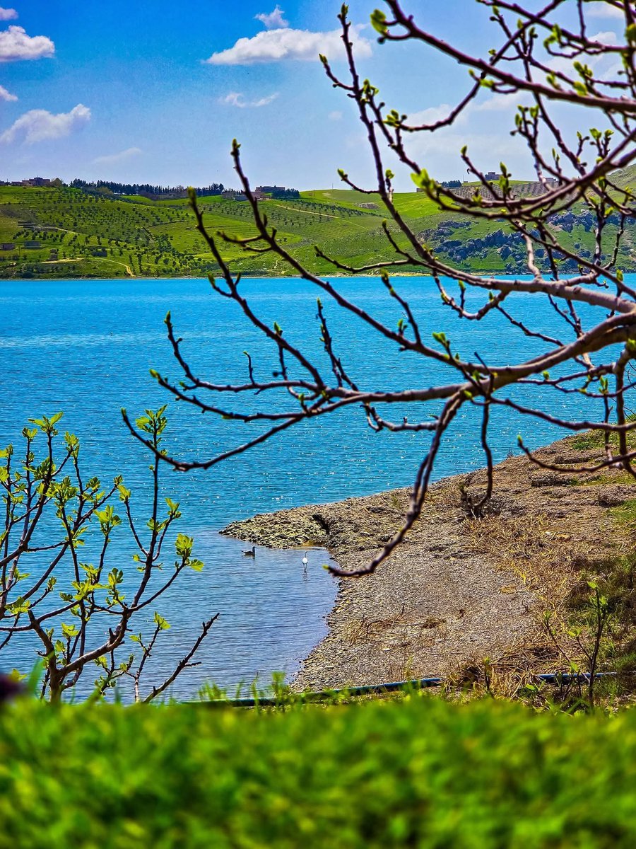 Mustafa HABESH tweet media