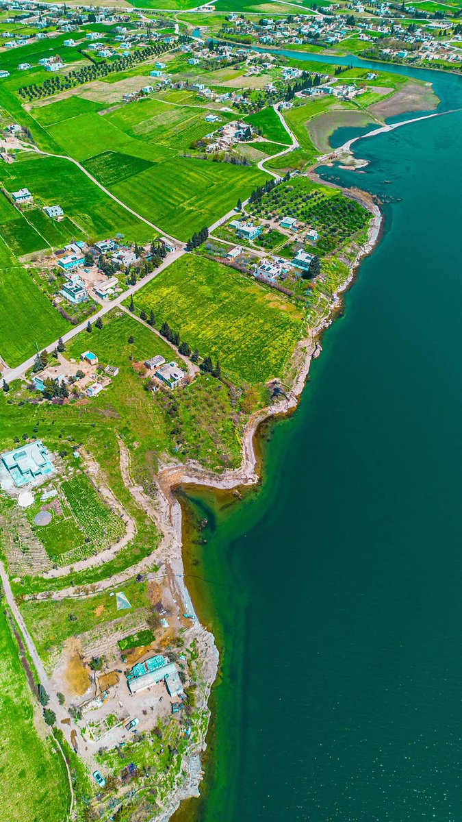 Mustafa HABESH tweet media