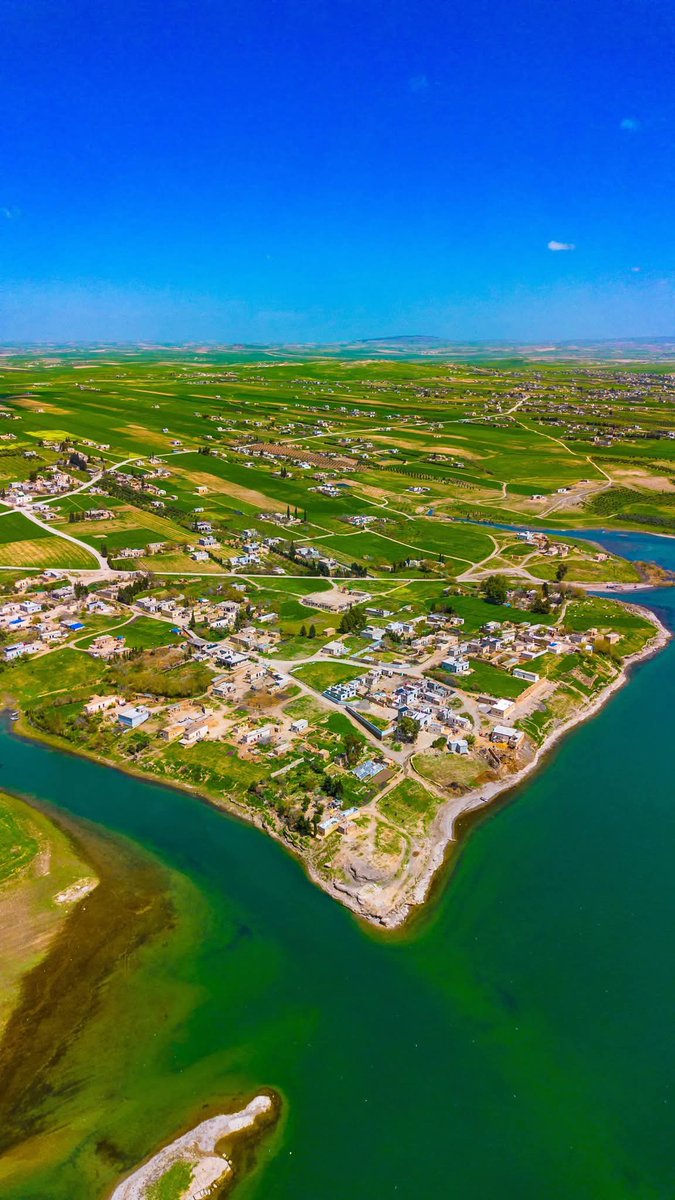 Mustafa HABESH tweet media