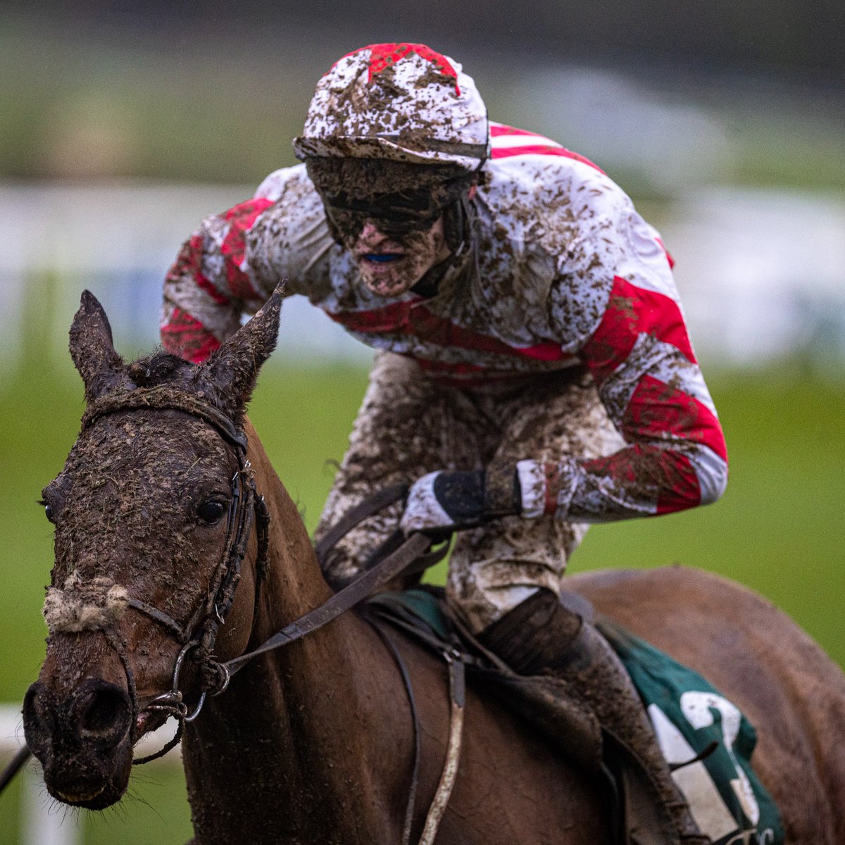 Irish Racing Post Racing Post (@RacingPost) / Posts / X