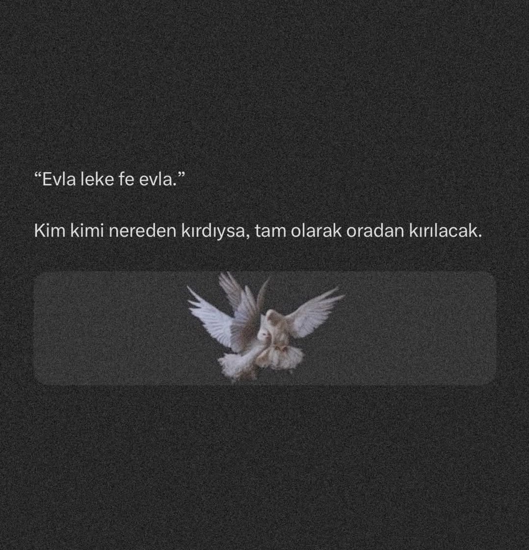 kitab-ül Sevda tweet media