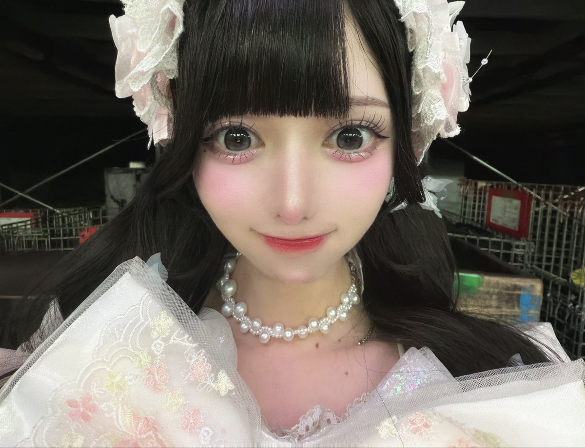 にゃんころ。 tweet media