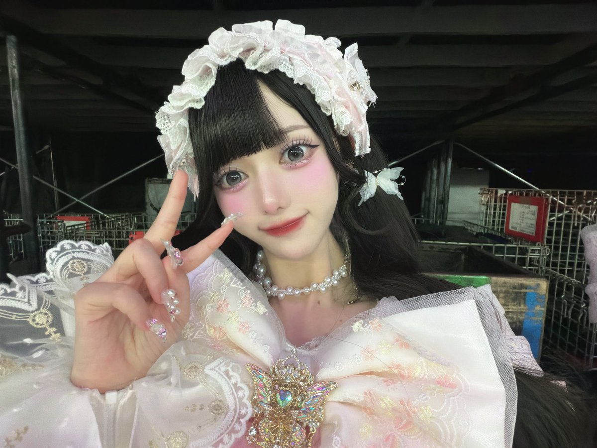 にゃんころ。 tweet media