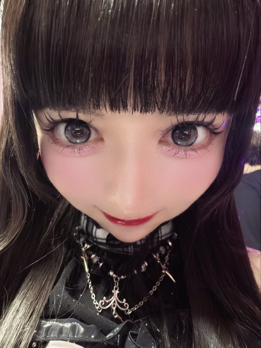 にゃんころ。 tweet media