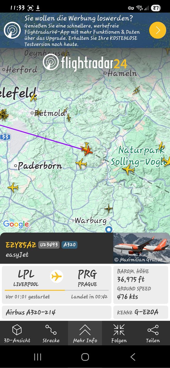 Thus Nelda tweet media