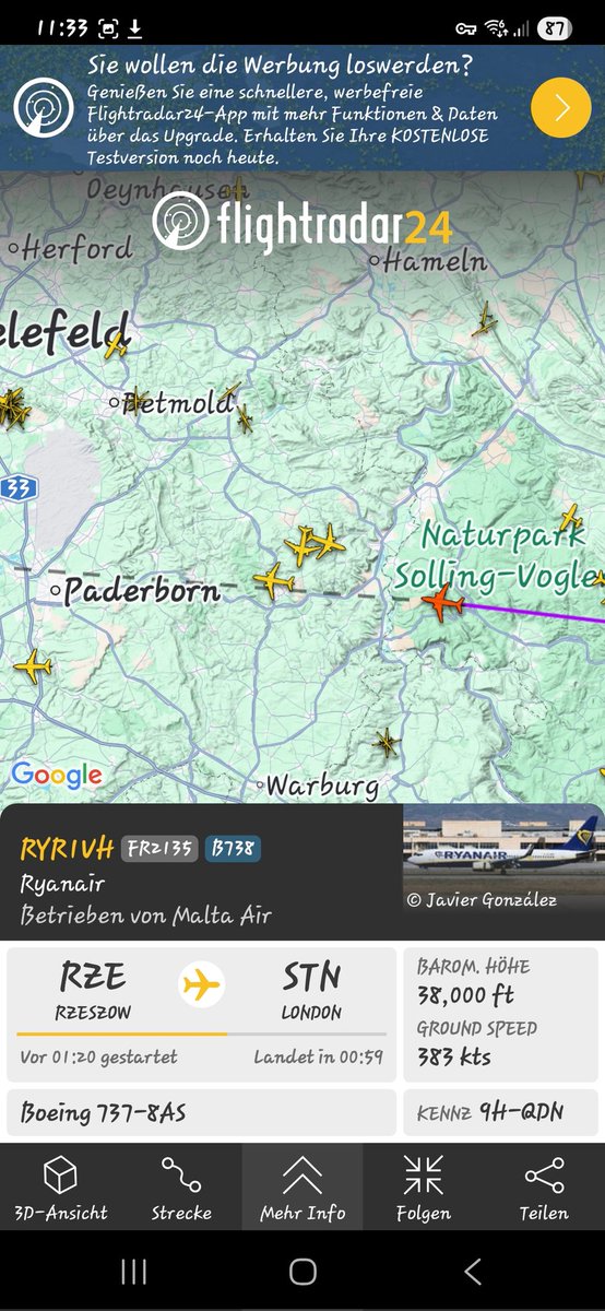 Thus Nelda tweet media