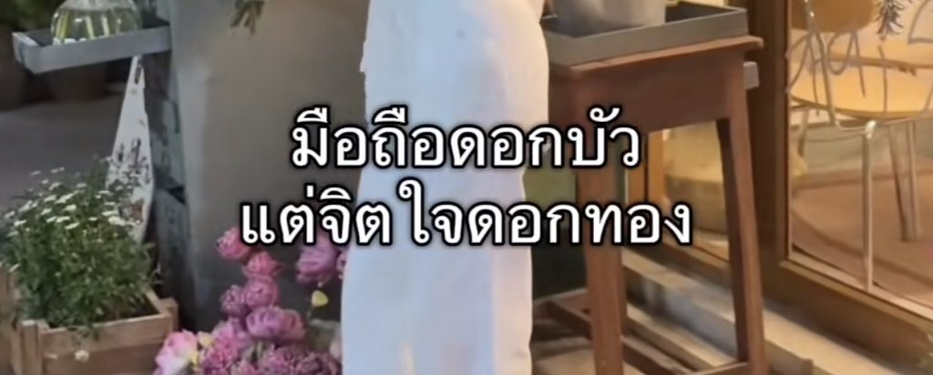 𝗁𝗋 . tweet media