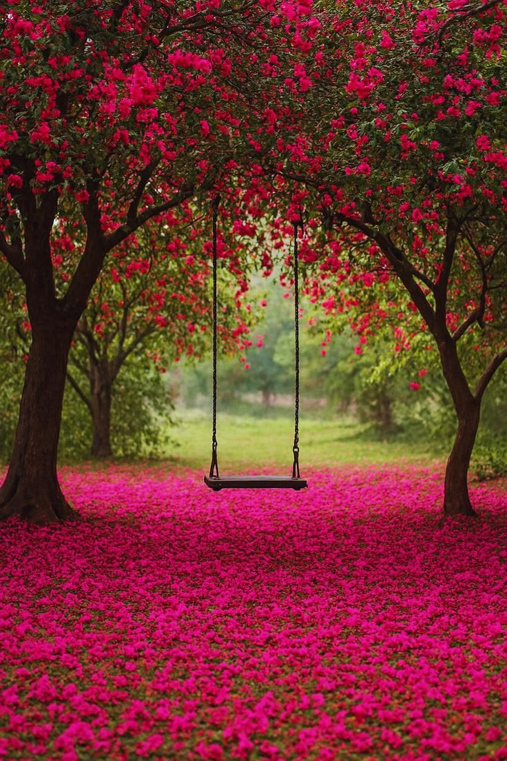 Beauty of Nature. tweet media