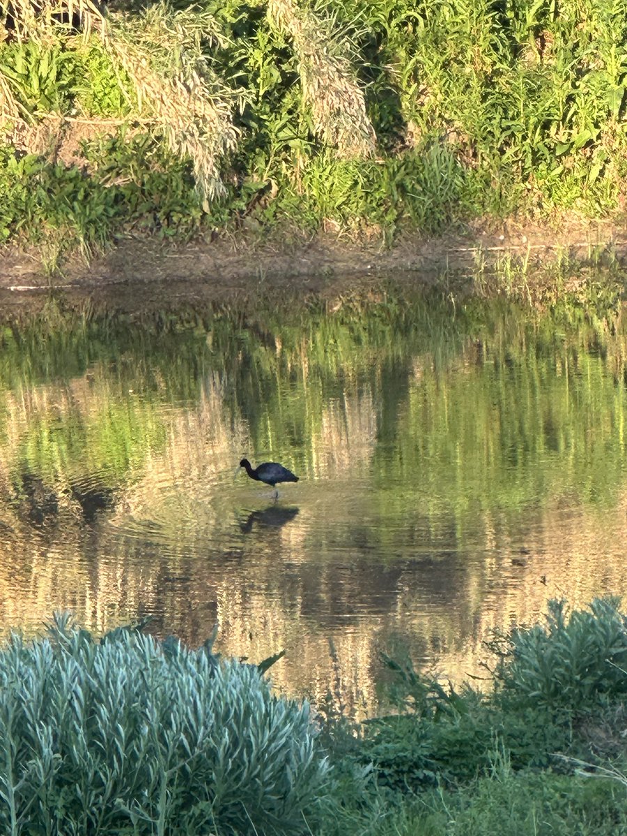 Laura 🌻 tweet media