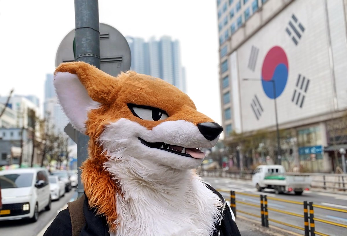 Rio (歌犬)➡︎FurstClass tweet media