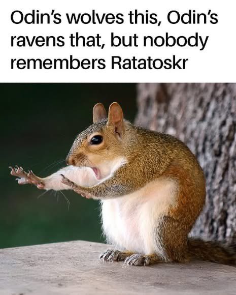 Grumpy Veteran tweet media