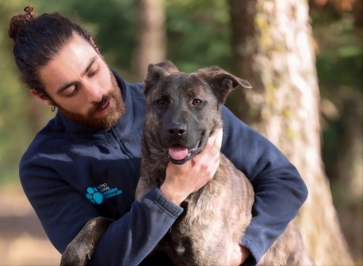 Medio Ambiente | Comunidad de Madrid tweet media