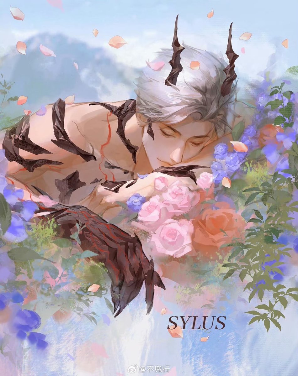 不兜行 tweet media