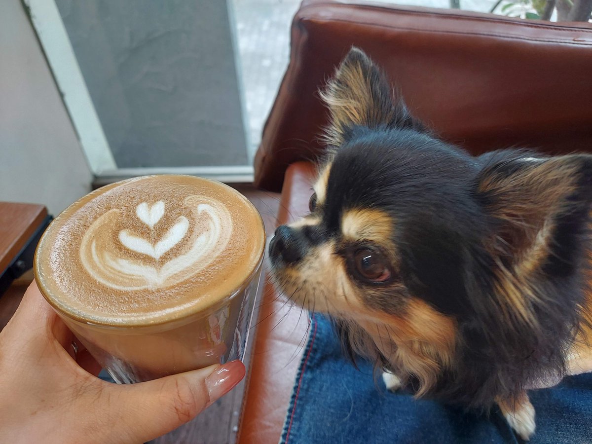pets_with's tweet photo. ふわっふわのたまごのオムライスが有名で、エスプレッソマシンで淹れた本格カフェラテが楽しめるカフェのご紹介です♪
【淀駅】「https://t.co/pvovhbxZ0M（バイドットコーヒー）」オーガニック食材にこだわる本格珈琲が飲めるカフェ☆犬同伴可【京都府・京都市】
https://t.co/1Lv2t8cmWa https://t.co/g2qN16RTsb