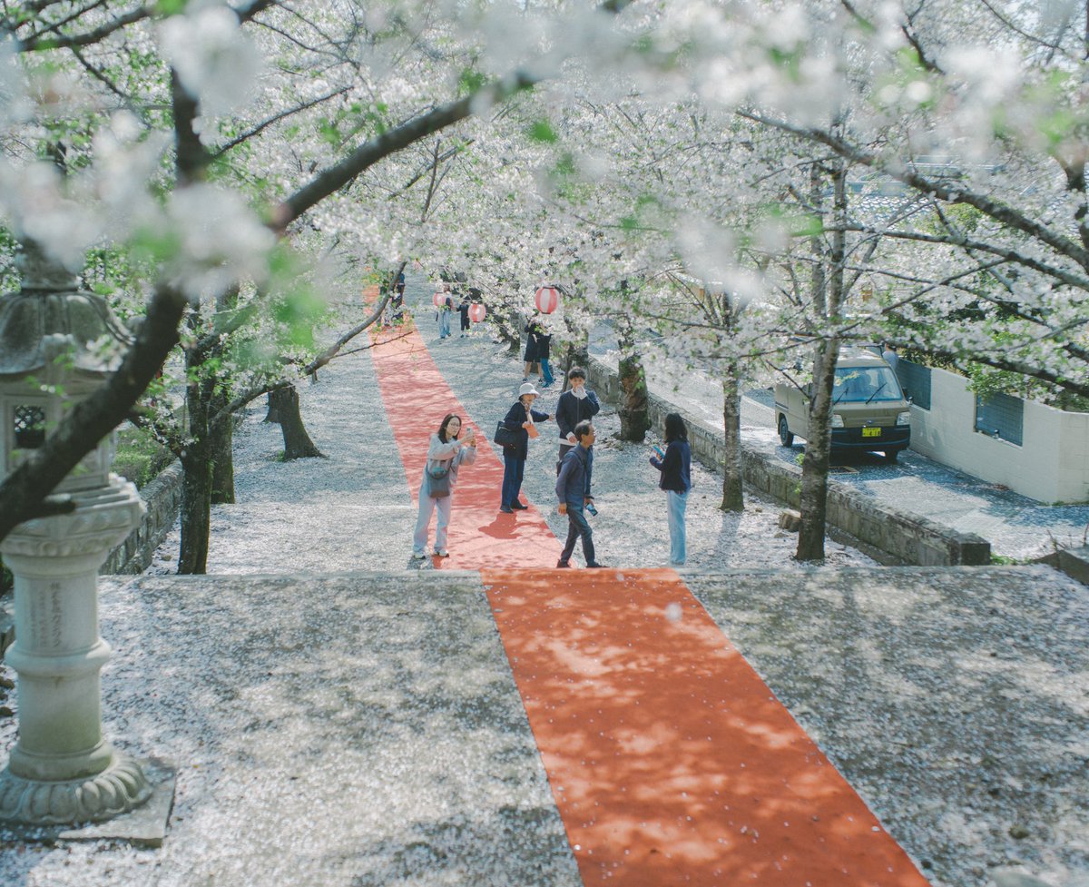 rintaro shimada tweet media