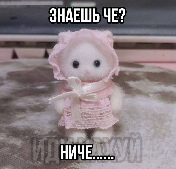 °•°ᴍɪᴋʀsᴏꜰᴀ°•° tweet media