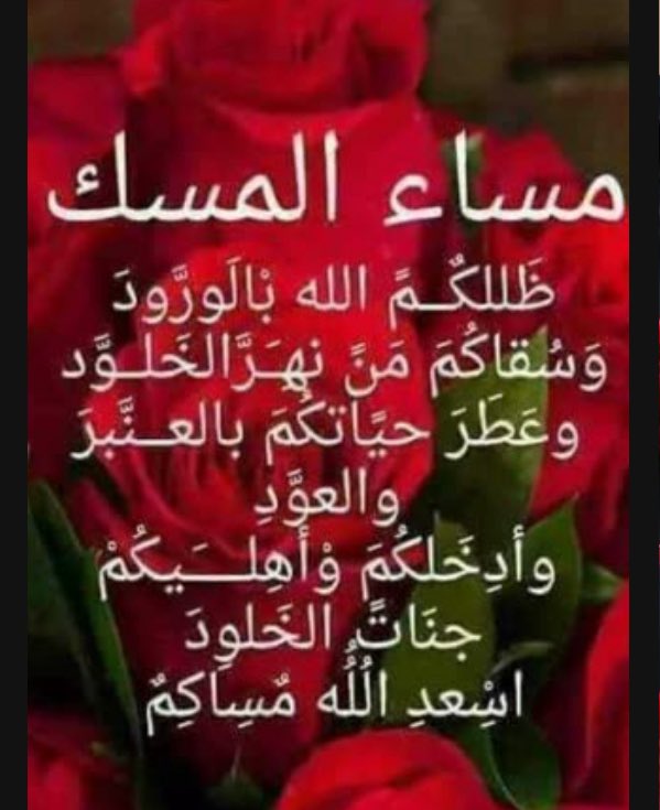 ابو امير tweet media