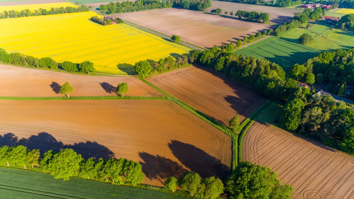 cmdAdama tweet media