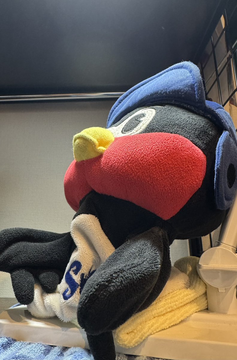 だいちゃん(Da.i) 【だいちゃんの音楽たち】 tweet media