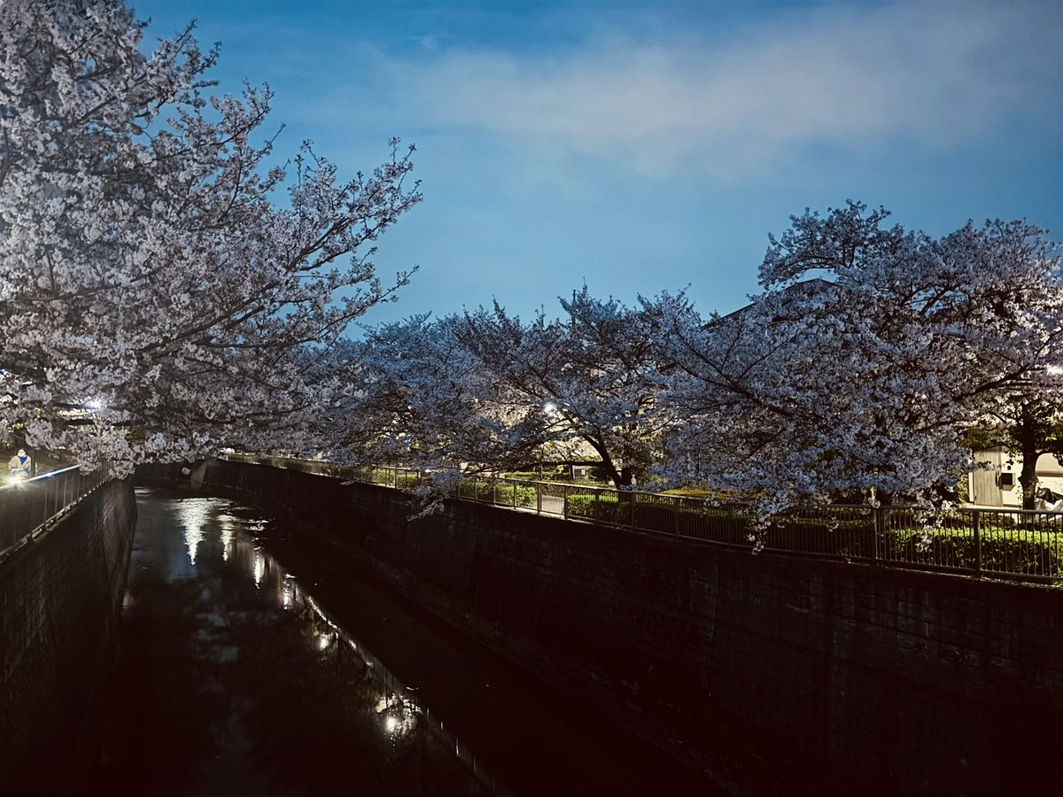 刹那アスカ@7th fes1、2、エキスポday1、3参戦 tweet media